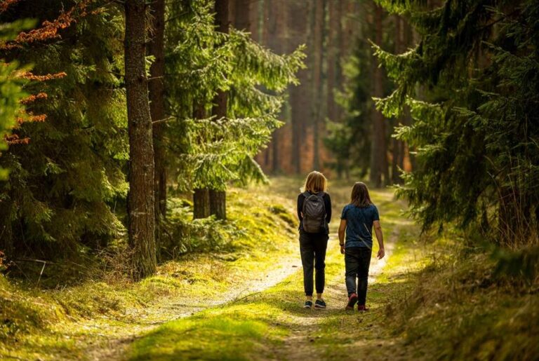 Nature’s Escape: Embracing Freedom from Digital Overload
