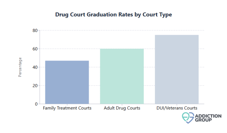 Navigating the Landscape of Drug Courts: Insights and Innovations