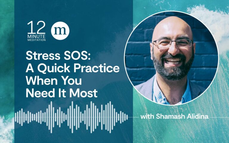 Busy Times, or Anytime: Nine Ways Mindfulness Reduces Stress