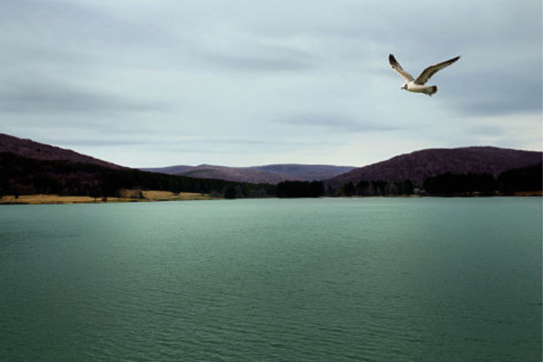 The Stigmatism of Addictions The Stigmatism of Addictions