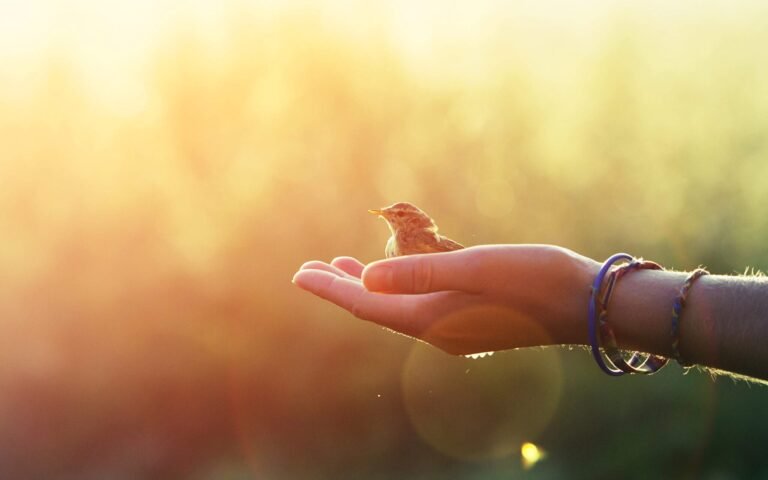 Learning the Light Touch of Allowing